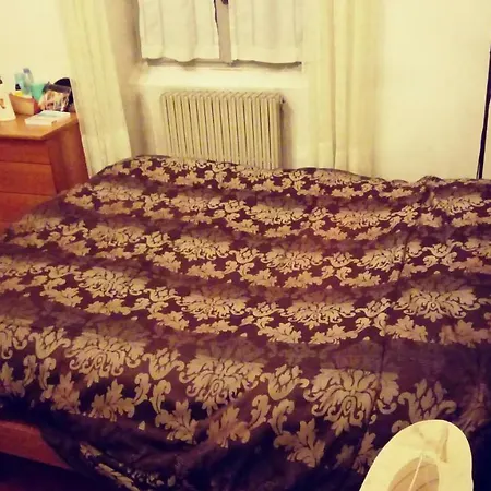 Live Dreams Комо